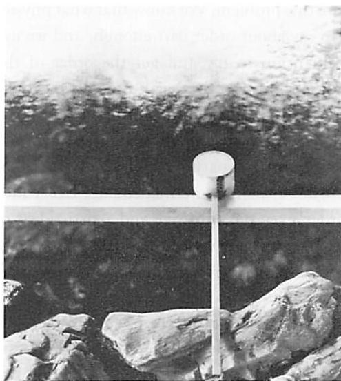 A small piece of bamboo with a handle attached becomes a drinking ladle in a Japanese temple.