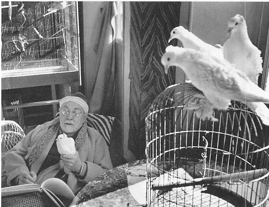 Matisse and his birds