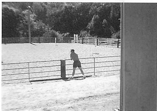 Watching a horse ring