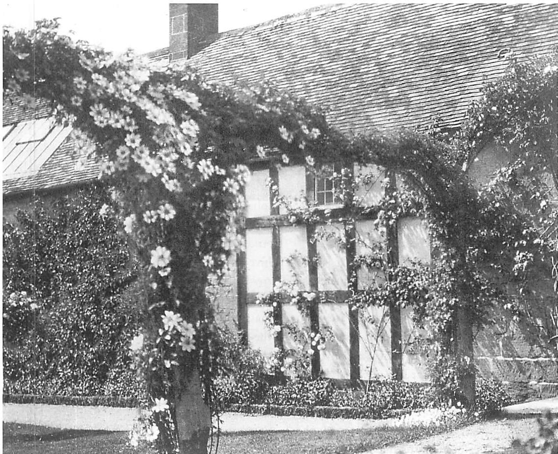 Cottage with roses: its character is given by its dominant centers, the roses, the arch of roses, the timber frame, the plaster squares.