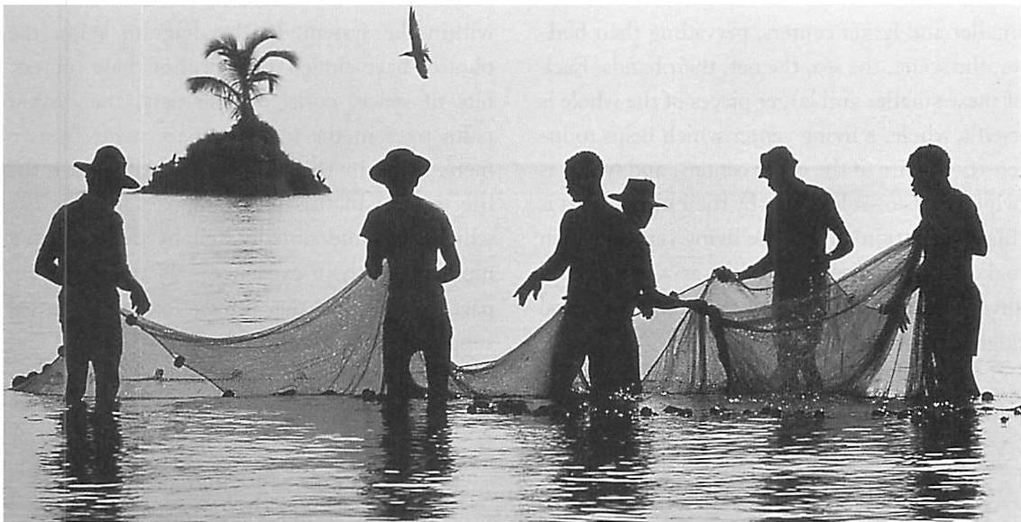 Guatemalan fishermen with their net. Their gestures, the net itself, the corks on the net, the space between the men, the palm tree, the ripples on the sea—all these are living centers when we look at them carefully.