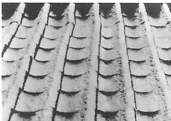 Roof tiles