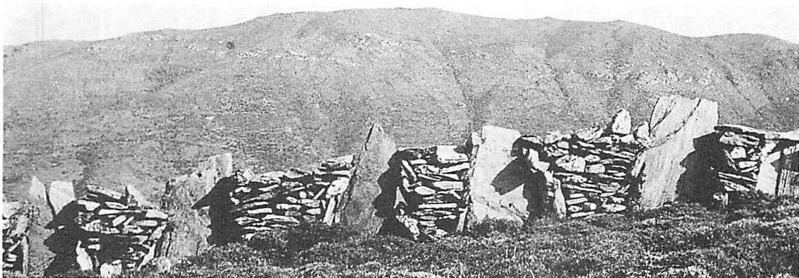 Stones in a field-stone wall