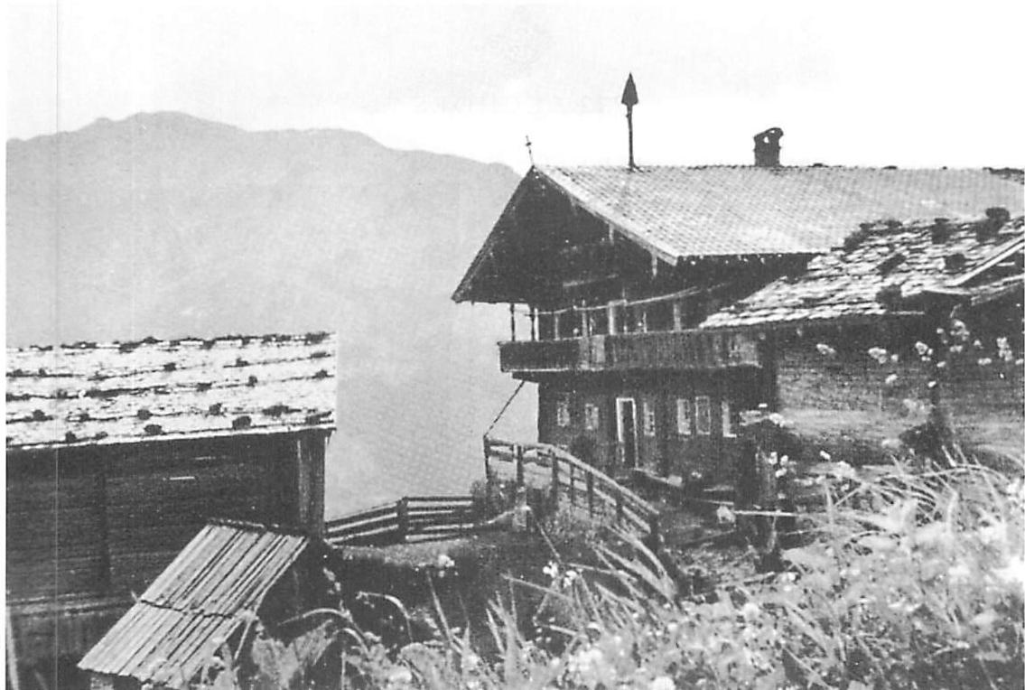 An Austrian village where the beautiful step by step adapation causes deep functional perfection through what appears like roughness