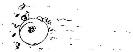 15. Not-separateness