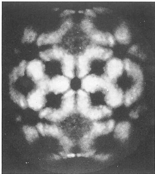 Uranium oxide on tungsten