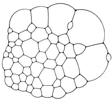 Soap bubbles, and the positive nature of the space they form