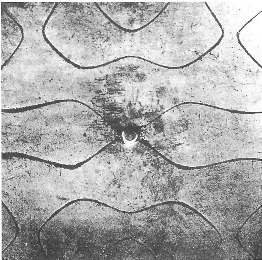 Chladni figures, formed by vibrating the sand on a steel plate with a violin bow