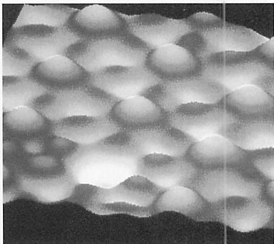 Photograph of silicon atoms shows that each atom is slightly different. The electronic orbits, though nominally the same, create subtle variations of dimension and position, according to their interactions.