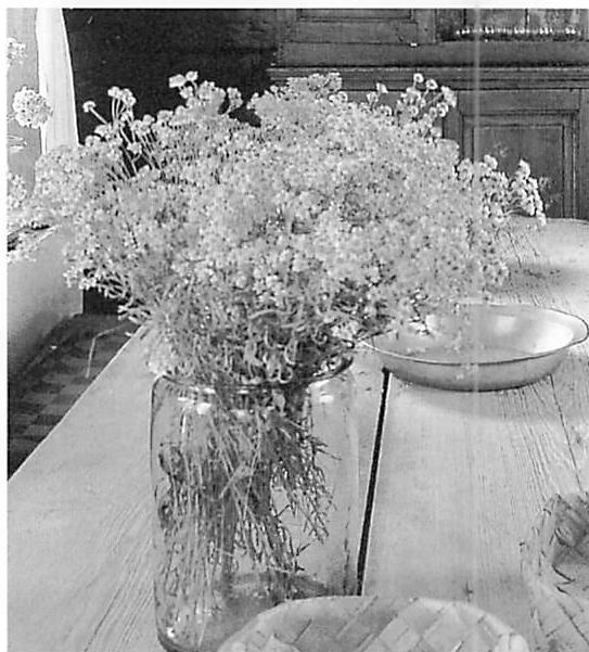 A handful of flowers put in a jar