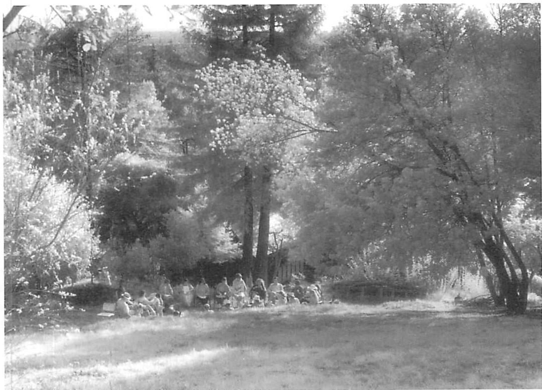 A meadow in the Berkeley Hills