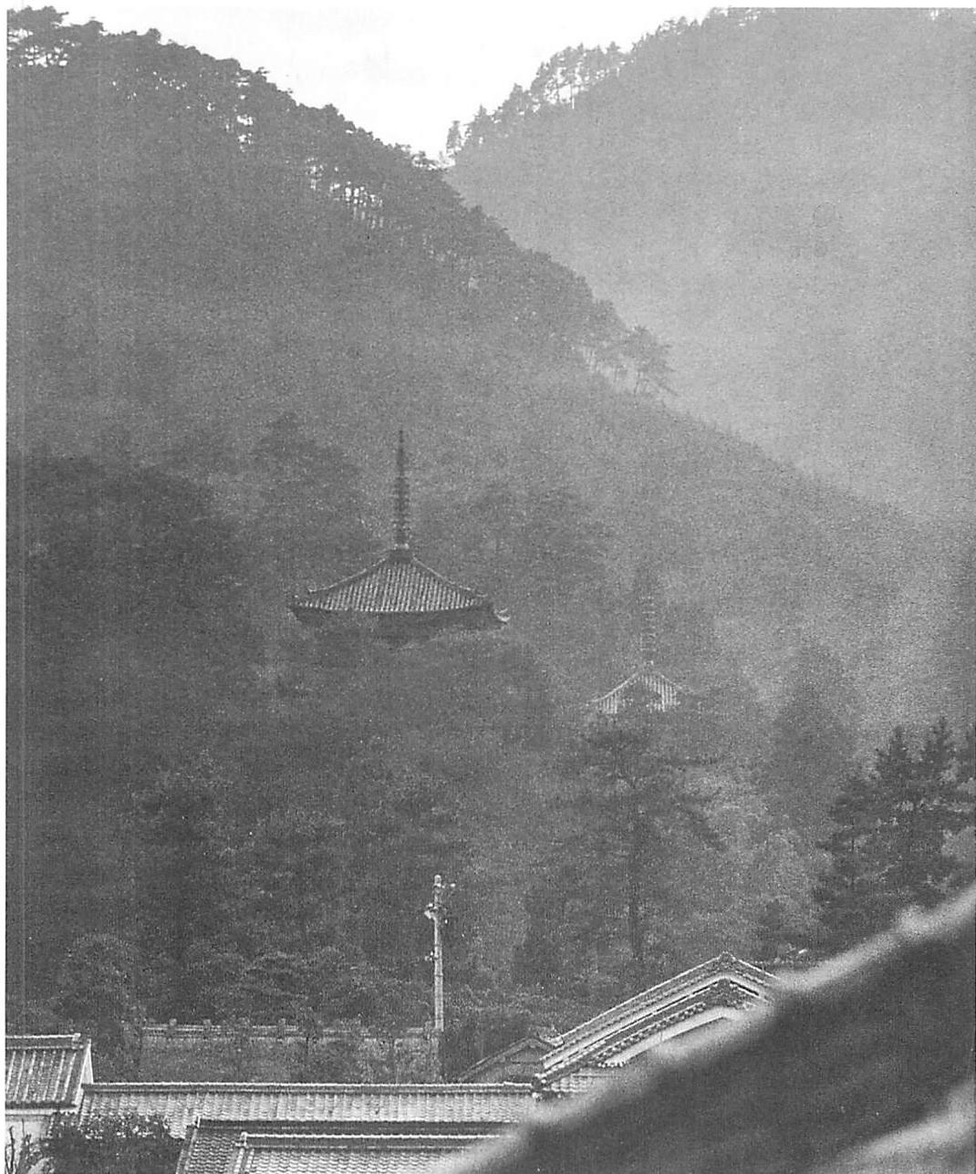 The temple in the forest