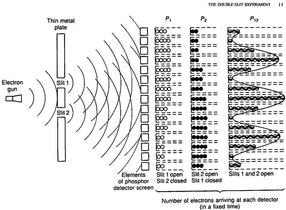 P₁ and P₂ show the distributions that arrive on the wall when slit 1 and slit 2 are open by themselves. P₀ shows the distribution that arrives on the wall when both slits are open together.